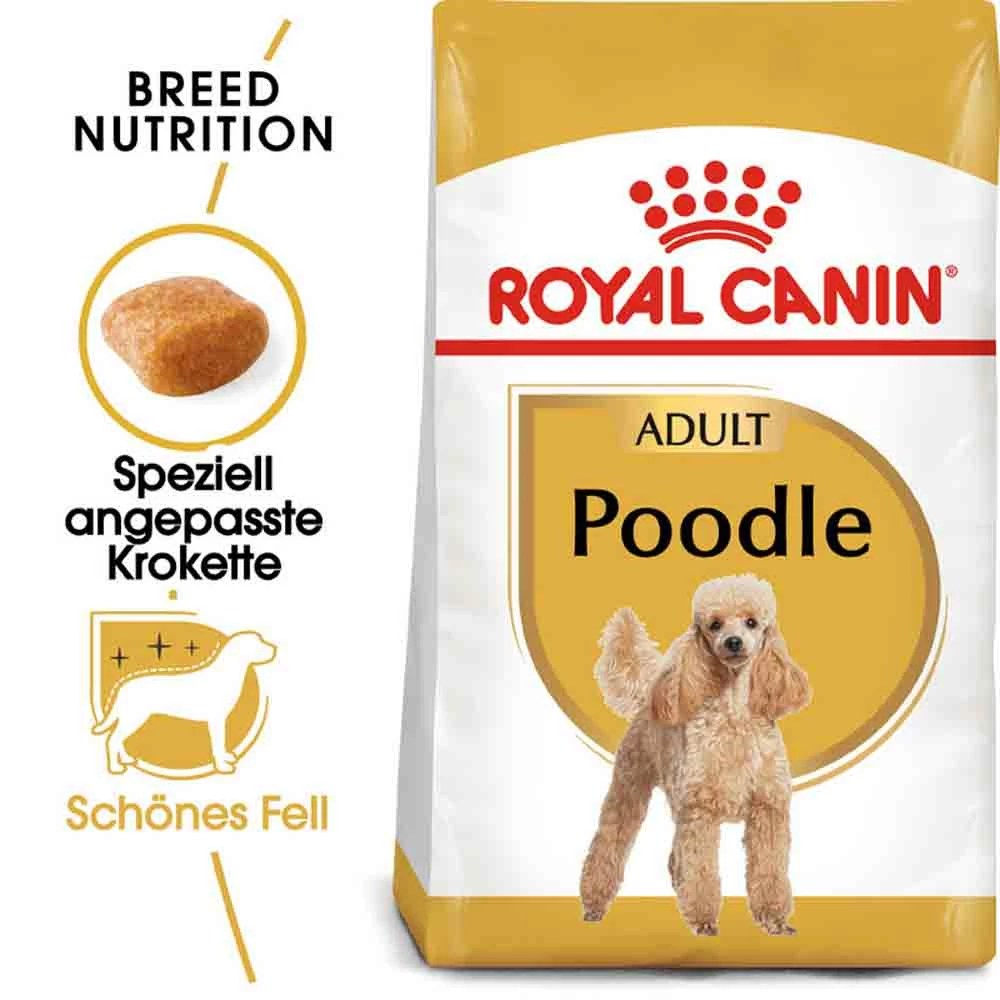 Royal Canin Poodle Adult Hundefutter Trocken 1 Royal Canin Poodle Adult Hundefutter Trocken