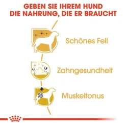 Royal Canin Poodle Adult Hundefutter Trocken 10 Royal Canin Poodle Adult Hundefutter Trocken -Tier Geschäft 0054810 royal canin poodle adult hundefutter trocken