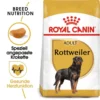 Royal Canin Rottweiler Adult Hundefutter Trocken -Tier Geschäft 0054821 royal canin rottweiler adult hundefutter trocken