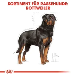 Royal Canin Rottweiler Adult Hundefutter Trocken 9 Royal Canin Rottweiler Adult Hundefutter Trocken -Tier Geschäft 0054823 royal canin rottweiler adult hundefutter trocken