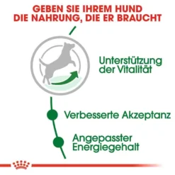 Royal Canin Mini Adult 8+ Trockenfutter Für ältere Kleine Hunde -Tier Geschäft 0054920 royal canin mini adult 8 trockenfutter fur altere kleine hunde