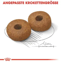 Royal Canin Medium Adult 10+ Trockenfutter Für ältere Mittelgroße Hunde -Tier Geschäft 0054948 royal canin medium adult 10 trockenfutter fur altere mittelgrose hunde