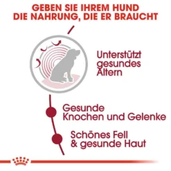 Royal Canin Medium Adult 10+ Trockenfutter Für ältere Mittelgroße Hunde -Tier Geschäft 0054953 royal canin medium adult 10 trockenfutter fur altere mittelgrose hunde