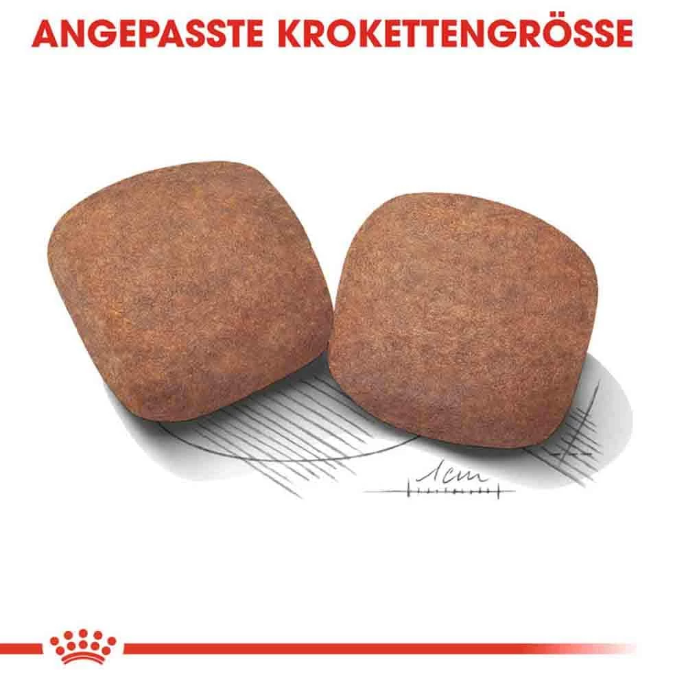 Royal Canin Giant Adult Trockenfutter Für Sehr Große Hunde 5 Royal Canin Giant Adult Trockenfutter Für Sehr Große Hunde – Bild 5