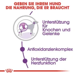 Royal Canin Giant Adult Trockenfutter Für Sehr Große Hunde 10 Royal Canin Giant Adult Trockenfutter Für Sehr Große Hunde -Tier Geschäft 0054985 royal canin giant adult trockenfutter fur sehr grose hunde