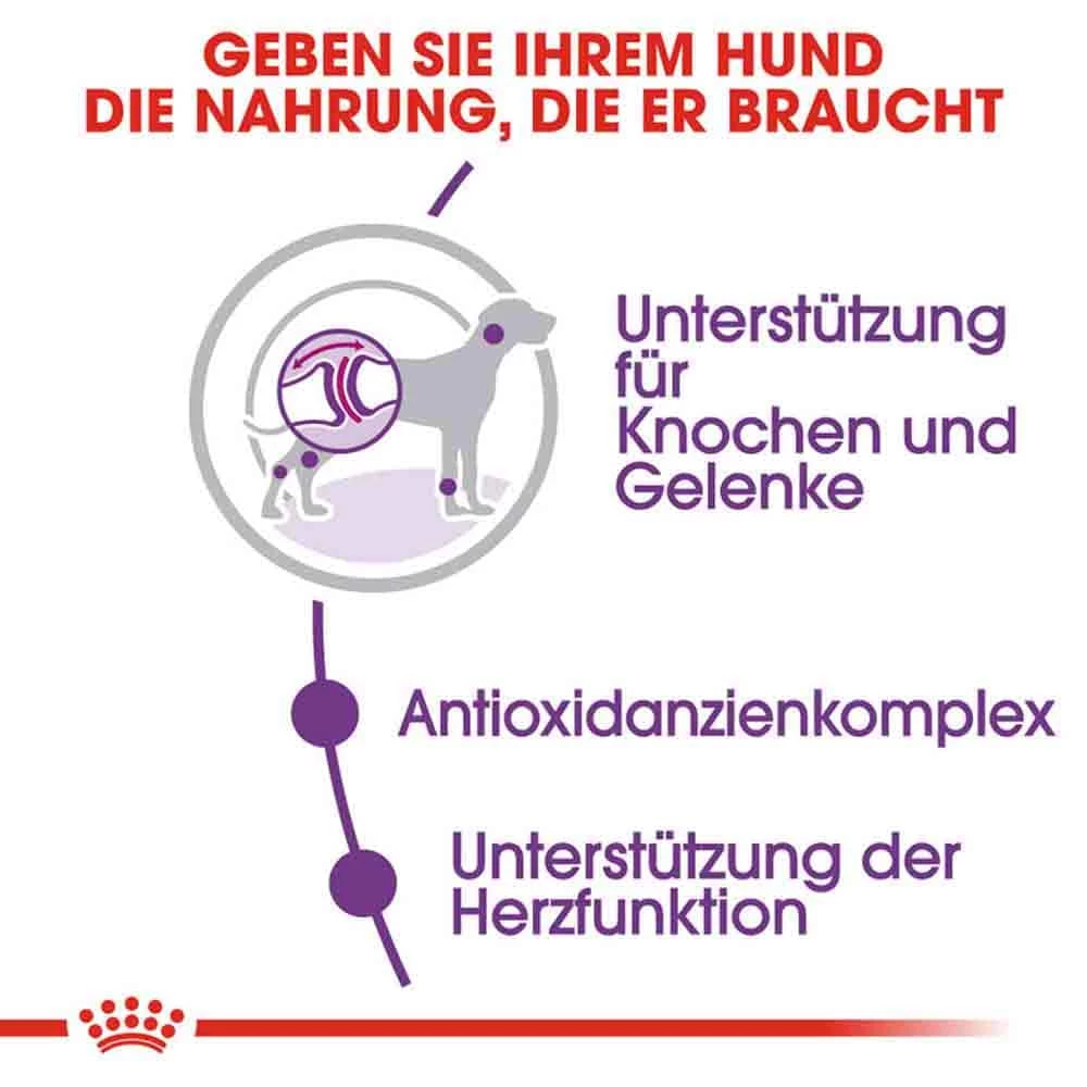 Royal Canin Giant Adult Trockenfutter Für Sehr Große Hunde 4 Royal Canin Giant Adult Trockenfutter Für Sehr Große Hunde – Bild 4