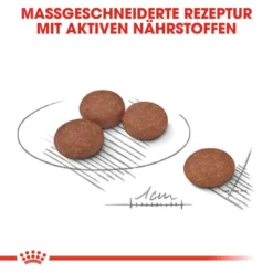 Royal Canin Digestive Care Mini Trockenfutter Für Kleine Hunde Mit Empfindlicher Verdauung -Tier Geschäft 0055080 royal canin digestive care mini trockenfutter fur kleine hunde mit empfindlicher verdauung