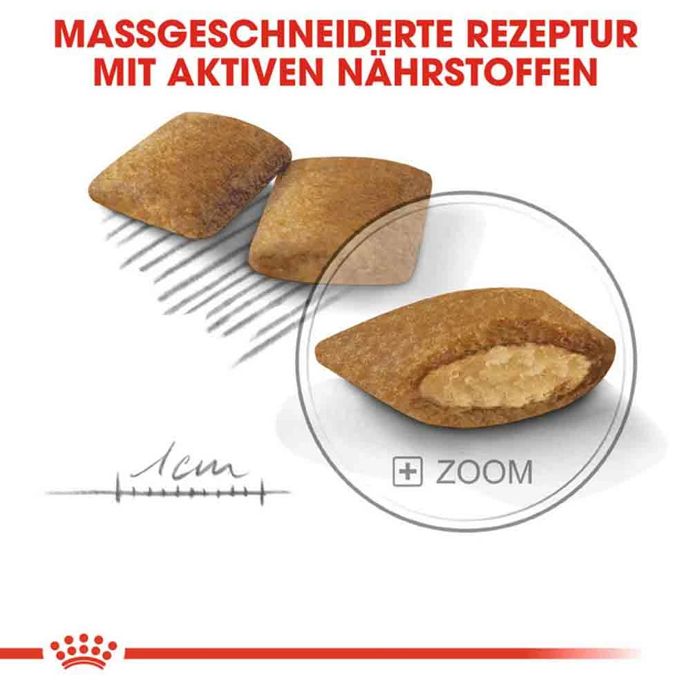 Royal Canin Exigent Mini Trockenfutter Für Wählerische Kleine Hunde 5 Royal Canin Exigent Mini Trockenfutter Für Wählerische Kleine Hunde – Bild 5