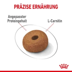 Royal Canin Light Weight Care Maxi Trockenfutter Für Zu Übergewicht Neigenden Hunden -Tier Geschäft 0055141 royal canin light weight care maxi trockenfutter fur zu ubergewicht neigenden hunden