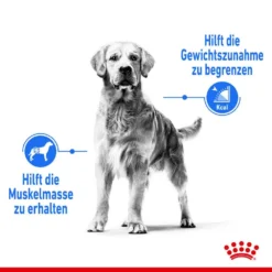 Royal Canin Light Weight Care Maxi Trockenfutter Für Zu Übergewicht Neigenden Hunden -Tier Geschäft 0055142 royal canin light weight care maxi trockenfutter fur zu ubergewicht neigenden hunden