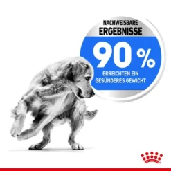 Royal Canin Light Weight Care Maxi Trockenfutter Für Zu Übergewicht Neigenden Hunden -Tier Geschäft 0055144 royal canin light weight care maxi trockenfutter fur zu ubergewicht neigenden hunden