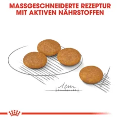 Royal Canin Dermacomfort Mini Trockenfutter Für Kleine Hunde Mit Empfindlicher Haut 12 Royal Canin Dermacomfort Mini Trockenfutter Für Kleine Hunde Mit Empfindlicher Haut -Tier Geschäft 0055889 royal canin dermacomfort mini trockenfutter fur kleine hunde mit empfindlicher haut