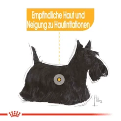 Royal Canin Dermacomfort Mini Trockenfutter Für Kleine Hunde Mit Empfindlicher Haut 10 Royal Canin Dermacomfort Mini Trockenfutter Für Kleine Hunde Mit Empfindlicher Haut -Tier Geschäft 0055890 royal canin dermacomfort mini trockenfutter fur kleine hunde mit empfindlicher haut