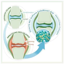 AniForte CollaMove Dog 7 AniForte CollaMove Dog -Tier Geschäft 0056141 aniforte collamove dog