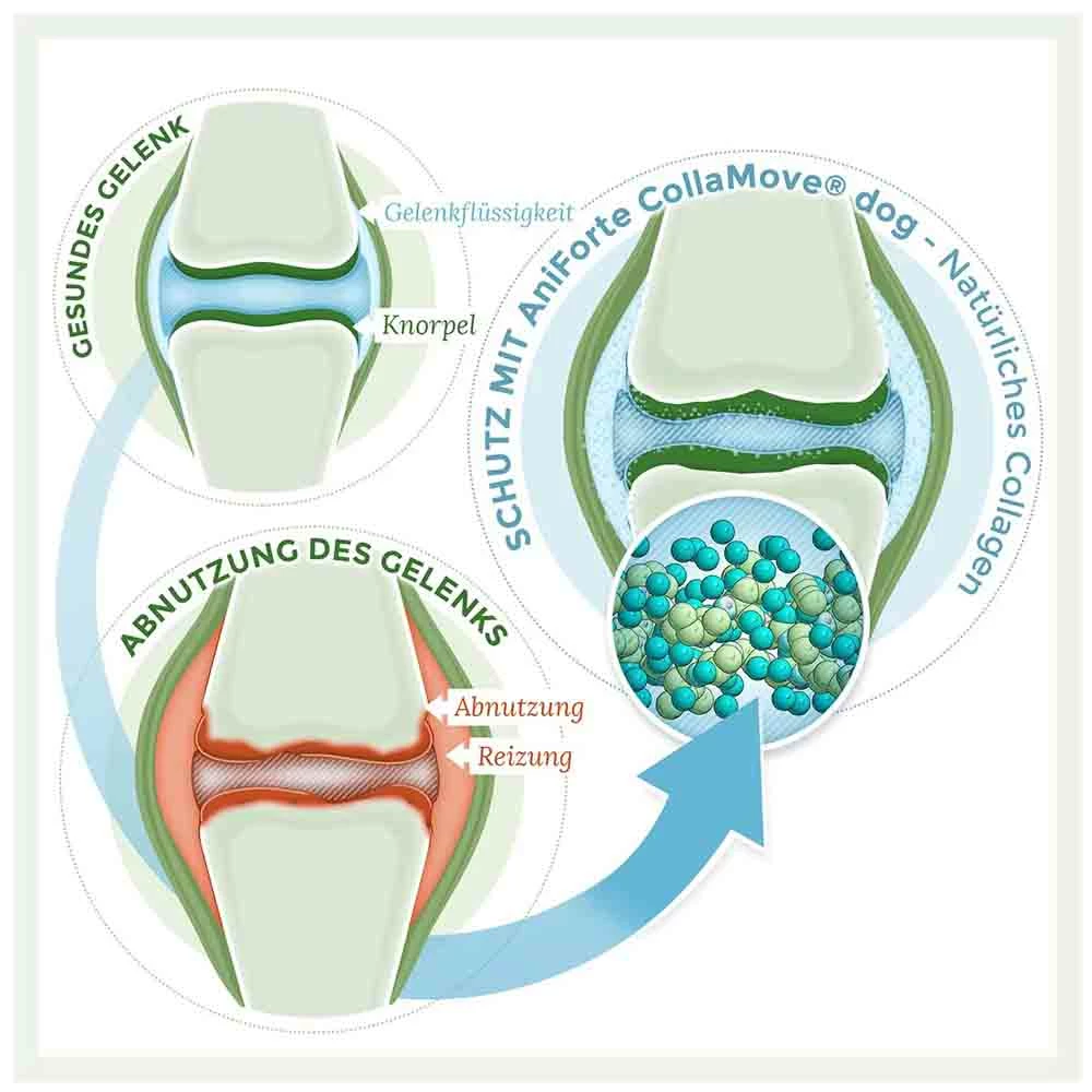 AniForte CollaMove Dog 3 AniForte CollaMove Dog – Bild 3