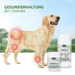 AniForte CollaMove Dog 8 AniForte CollaMove Dog -Tier Geschäft 0056143 aniforte collamove dog