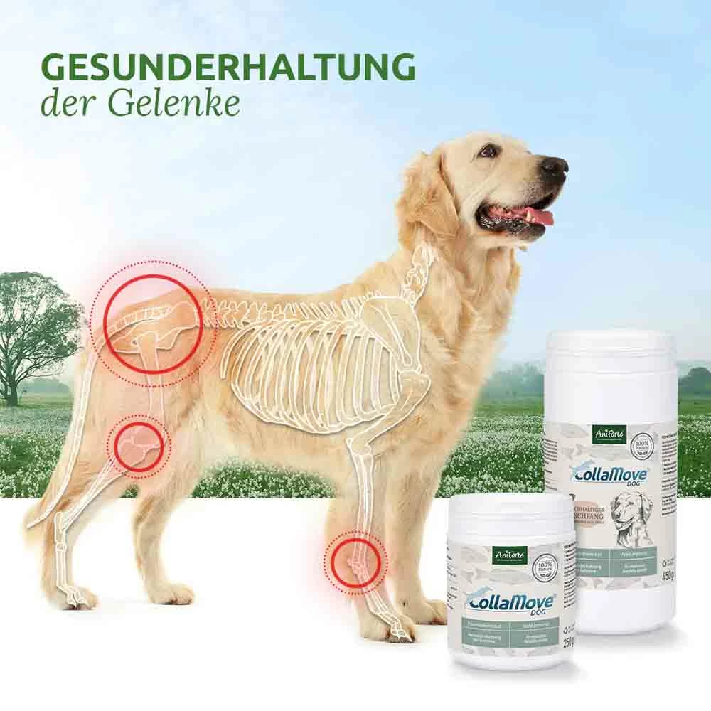 AniForte CollaMove Dog 4 AniForte CollaMove Dog – Bild 4