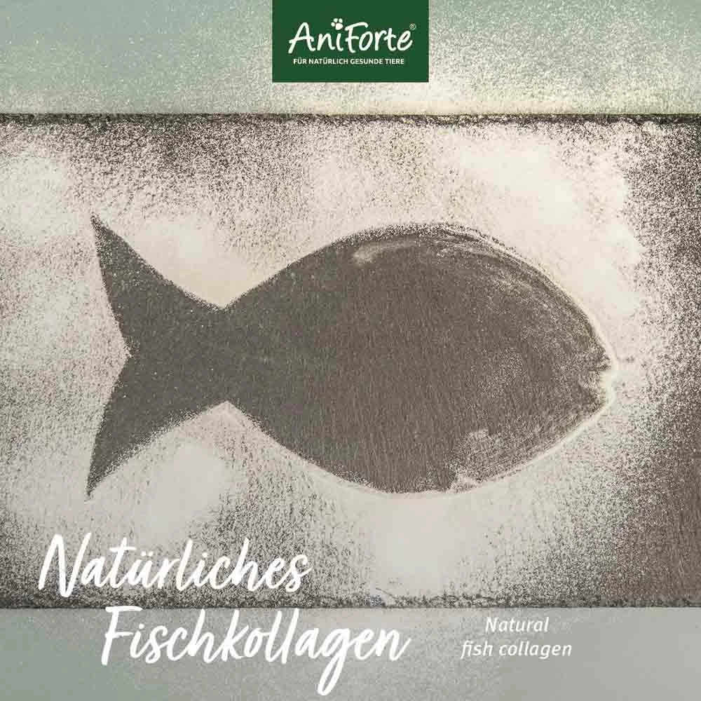 AniForte CollaMove Dog 5 AniForte CollaMove Dog – Bild 5