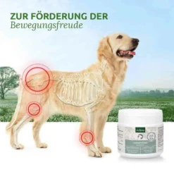 AniForte GelenkVETAL 3 -Tier Geschäft 0056196 aniforte gelenkvetal 3