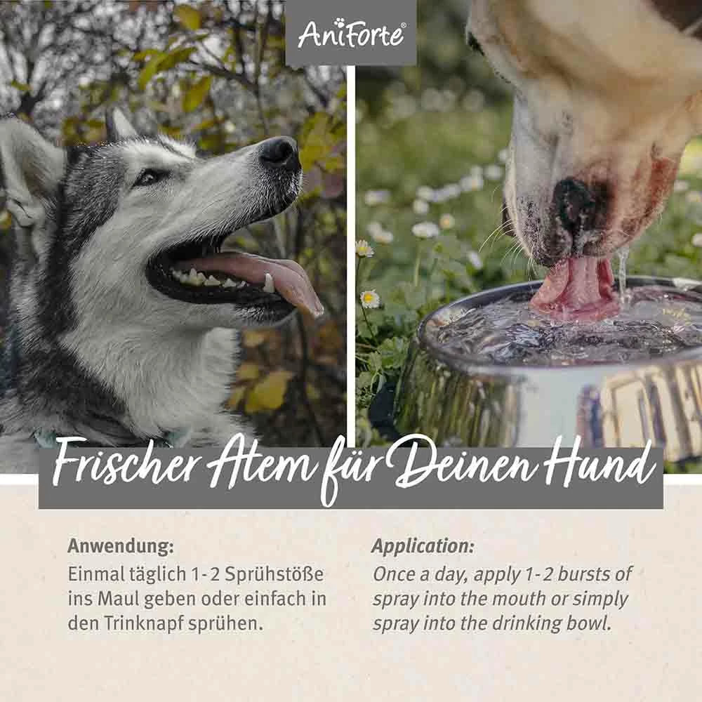 AniForte Denta Clean & Care Dentalspray 6 AniForte Denta Clean & Care Dentalspray – Bild 6