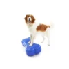FitPaws K9 FitBone 3 FitPaws K9 FitBone -Tier Geschäft 0056773 fitpaws k9 fitbone