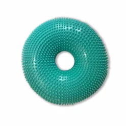 Flexiness DonutDisk Aqua