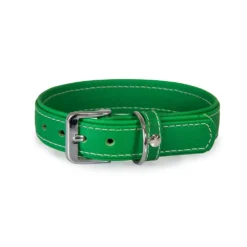 Das Lederband Barcelona Halsband Summer-Green