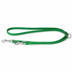 Das Lederband Barcelona Führleine Summer-Green