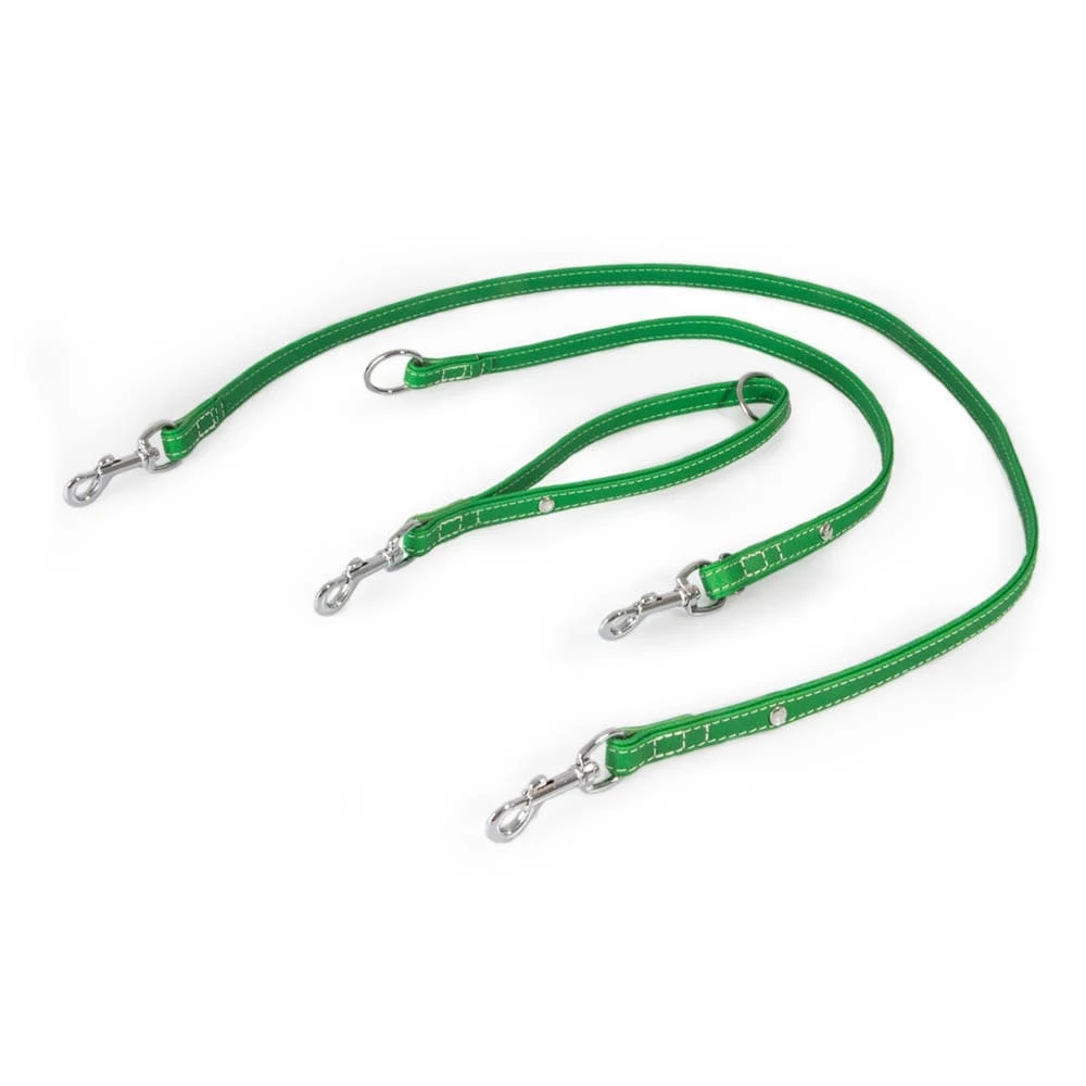 Das Lederband Barcelona Universal-Leine Summer-Green 1 Das Lederband Barcelona Universal-Leine Summer-Green