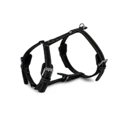 Das Lederband Barcelona Geschirr Black