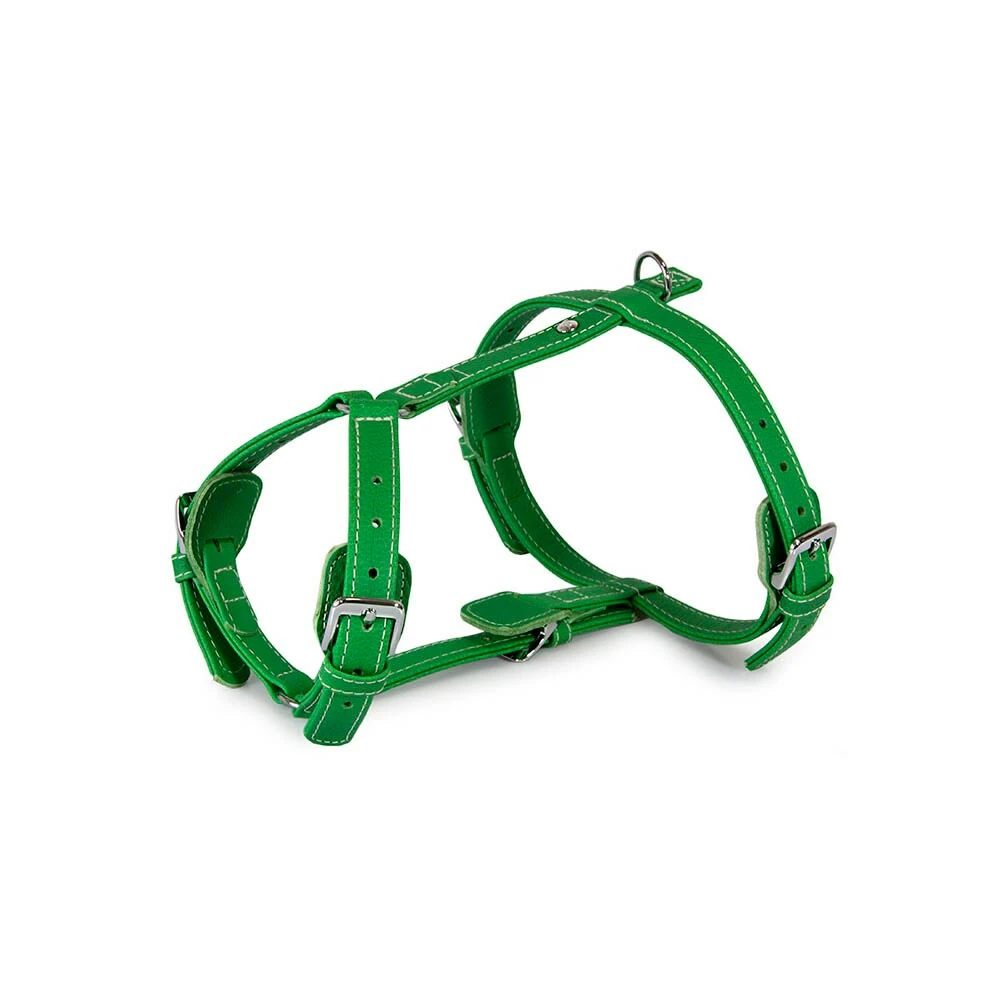 Das Lederband Barcelona Geschirr Summer-Green 1 Das Lederband Barcelona Geschirr Summer-Green