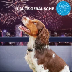 CEVA Adaptil Calm Halsband Für Große Hunde 9 CEVA Adaptil Calm Halsband Für Große Hunde -Tier Geschäft 0057758 adaptil calm halsband fur grose hunde