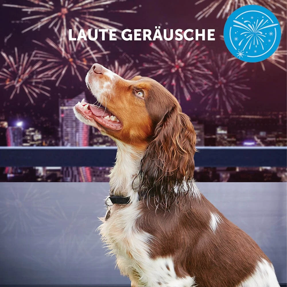 CEVA Adaptil Calm Halsband Für Große Hunde 5 CEVA Adaptil Calm Halsband Für Große Hunde – Bild 5