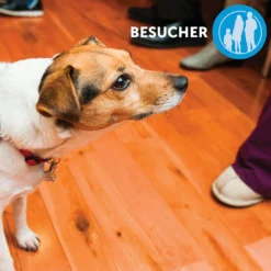 CEVA Adaptil Calm Halsband Für Große Hunde 8 CEVA Adaptil Calm Halsband Für Große Hunde -Tier Geschäft 0057760 adaptil calm halsband fur grose hunde