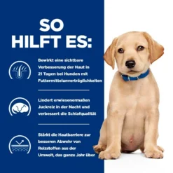 Hills Prescription Diet Derm Complete Puppy Mit Reis Und Ei Trockenfutter Für Hunde -Tier Geschäft 0060031 hills prescription diet derm complete puppy mit reis und ei trockenfutter fur hunde
