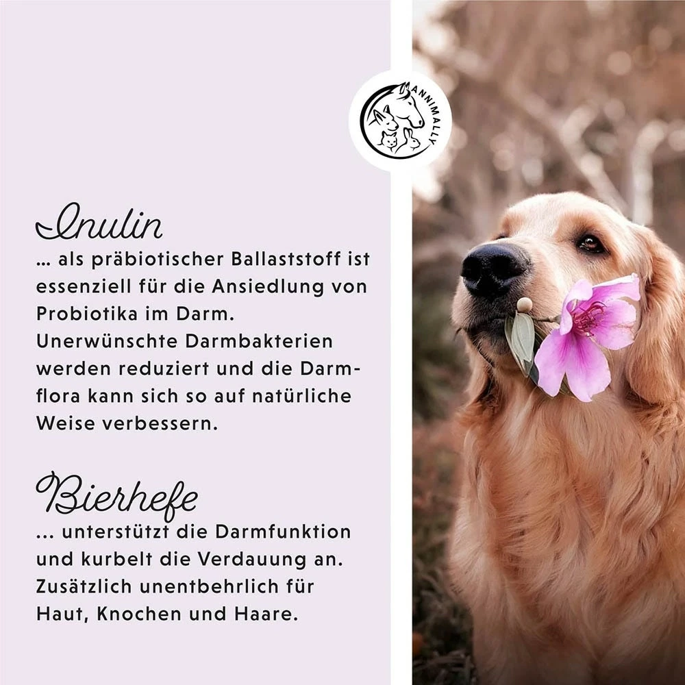 Annimally Colon Vital Tabletten 4 Annimally Colon Vital Tabletten – Bild 4