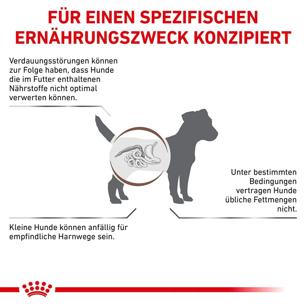 Royal Canin Gastrointestinal Low Fat Small Dogs Trockenfutter Für Kleine Hunde 5 Royal Canin Gastrointestinal Low Fat Small Dogs Trockenfutter Für Kleine Hunde – Bild 5