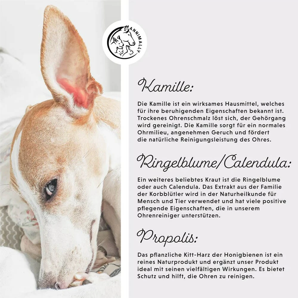 Annimally Ohrenreiniger 5 Annimally Ohrenreiniger – Bild 5