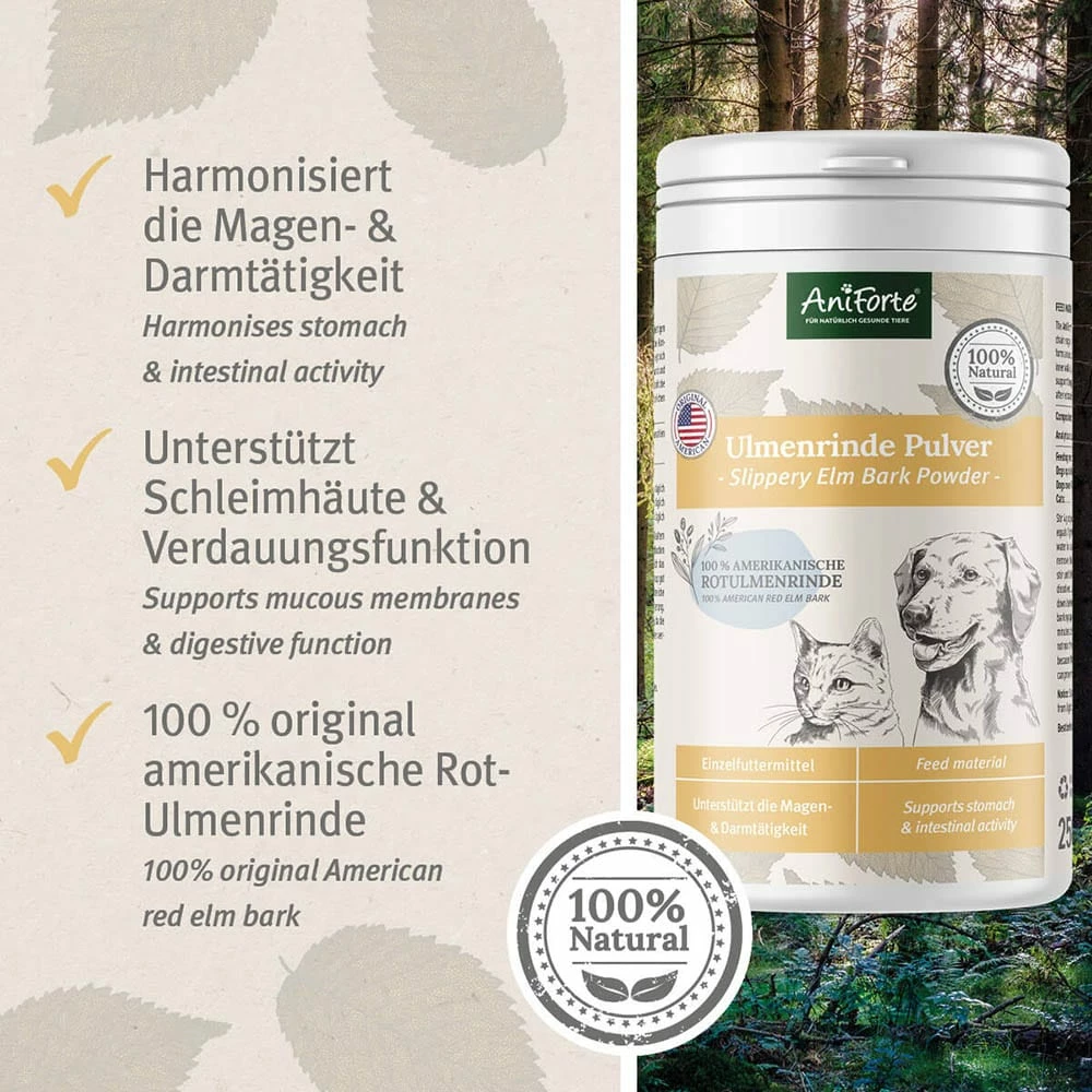 AniForte Ulmenrinde 6 AniForte Ulmenrinde – Bild 6
