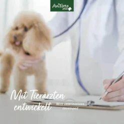 AniForte Plus Fell & Haut 11 AniForte Plus Fell & Haut -Tier Geschäft 0061574 aniforte plus fell haut