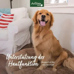AniForte Plus Fell & Haut 12 AniForte Plus Fell & Haut -Tier Geschäft 0061575 aniforte plus fell haut
